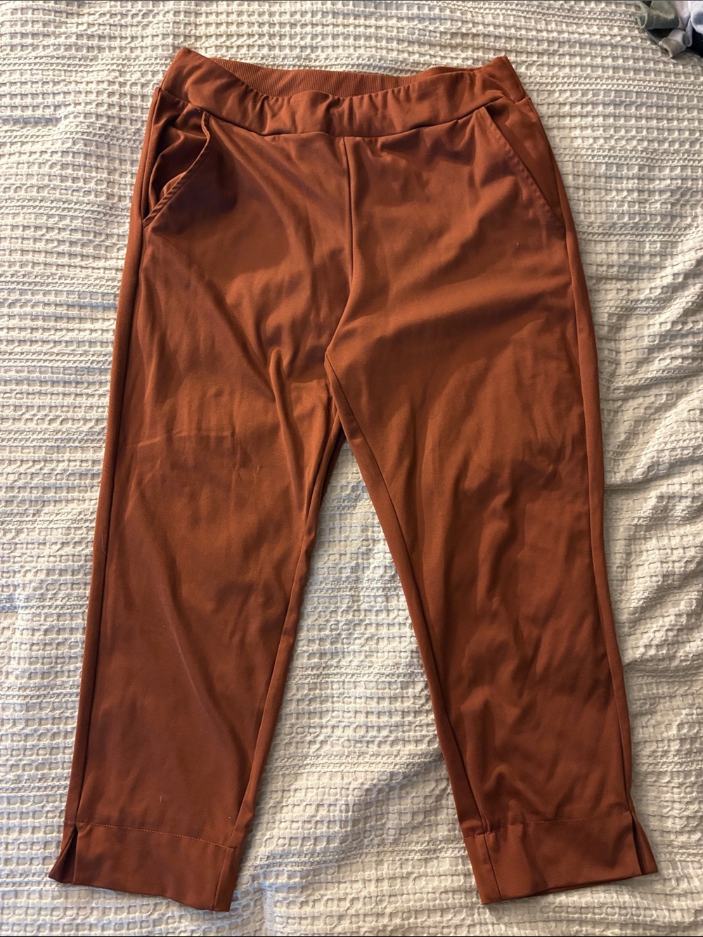 Rachel Zoe Size Large Burnt Orange stretch Waistband Cropped Pants